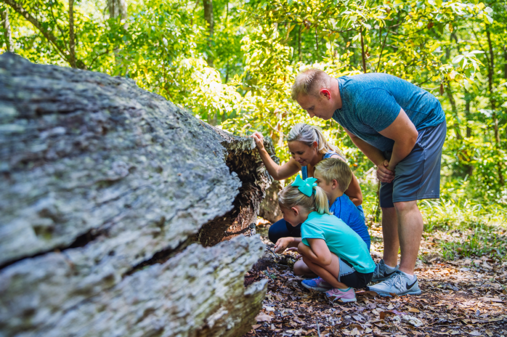 Family exploring in Camp Chowenwaw