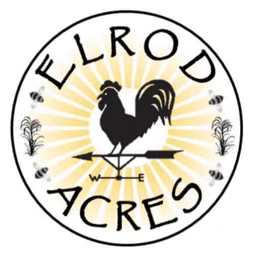 Rooster icon with yellow sun rays behind