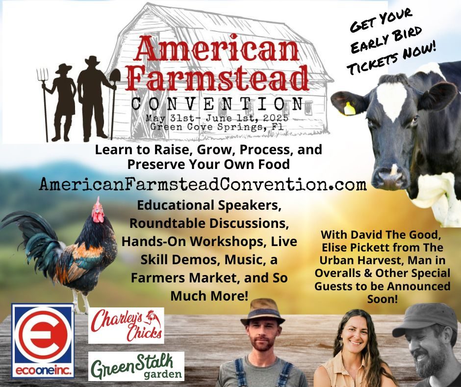 flyer for 2nd annual farmsteadhers convention