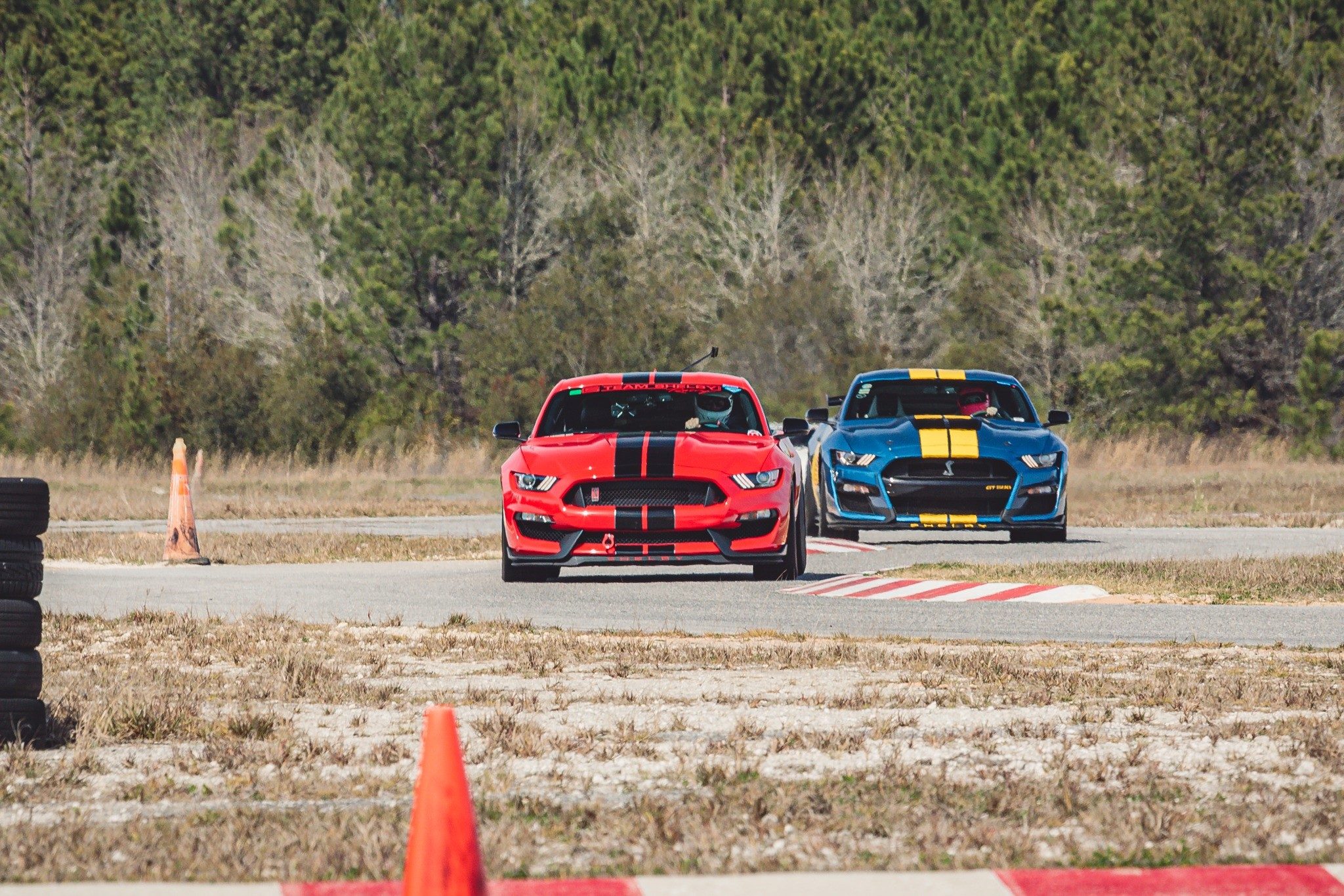 Cars and Canards event photo of cars Photo by Steven Flood Photography