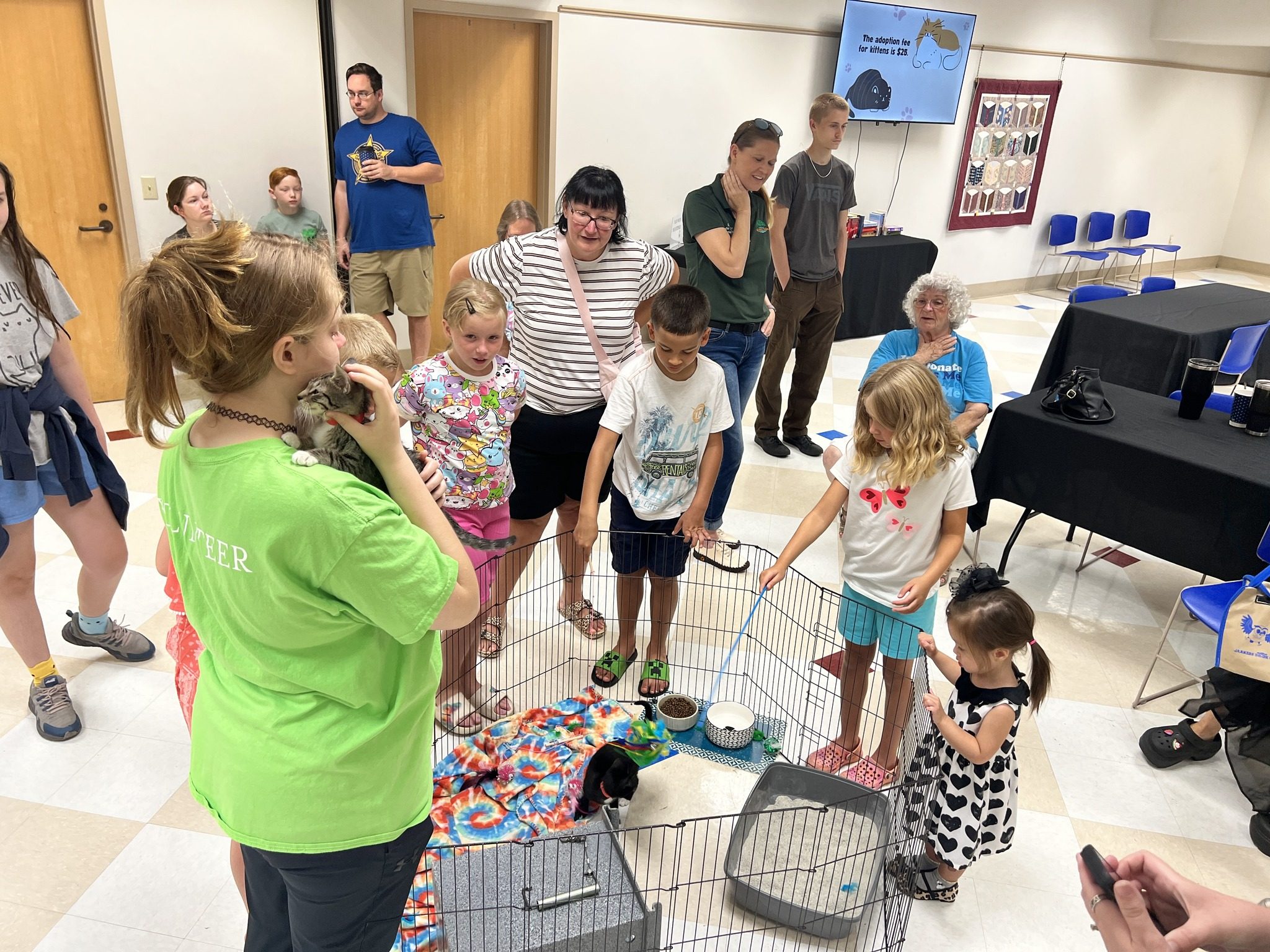 Photo of a group of people playing with kittens.