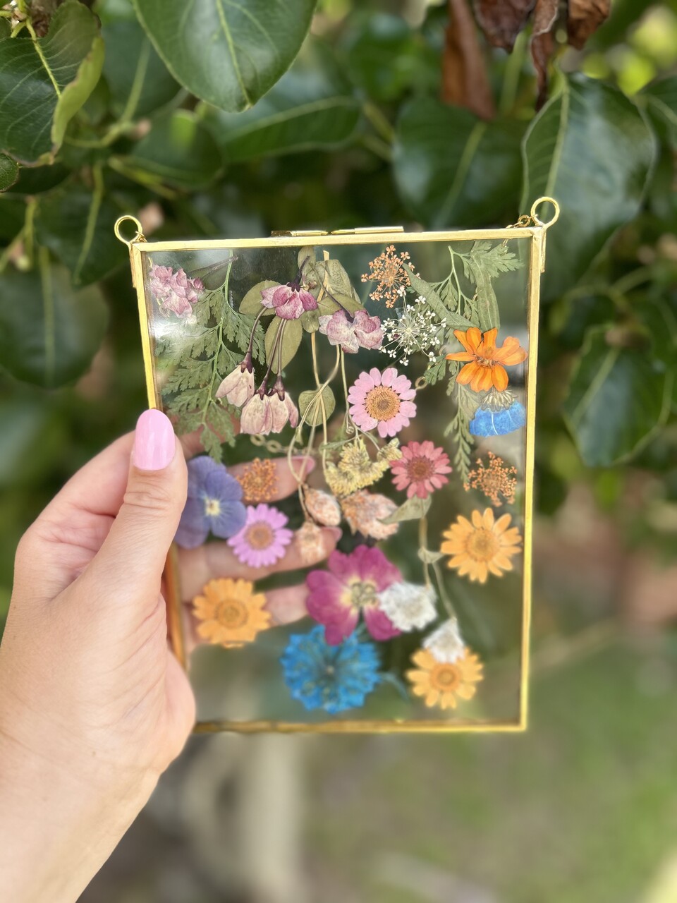 Photo of a frame with colorful pressed flowers.